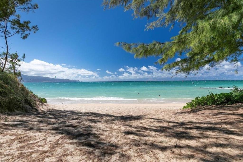 Apartment Unit 1 Maui Ohana Modern *